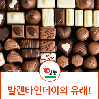 2월 14일 발렌타인데이 유래 알아봐요