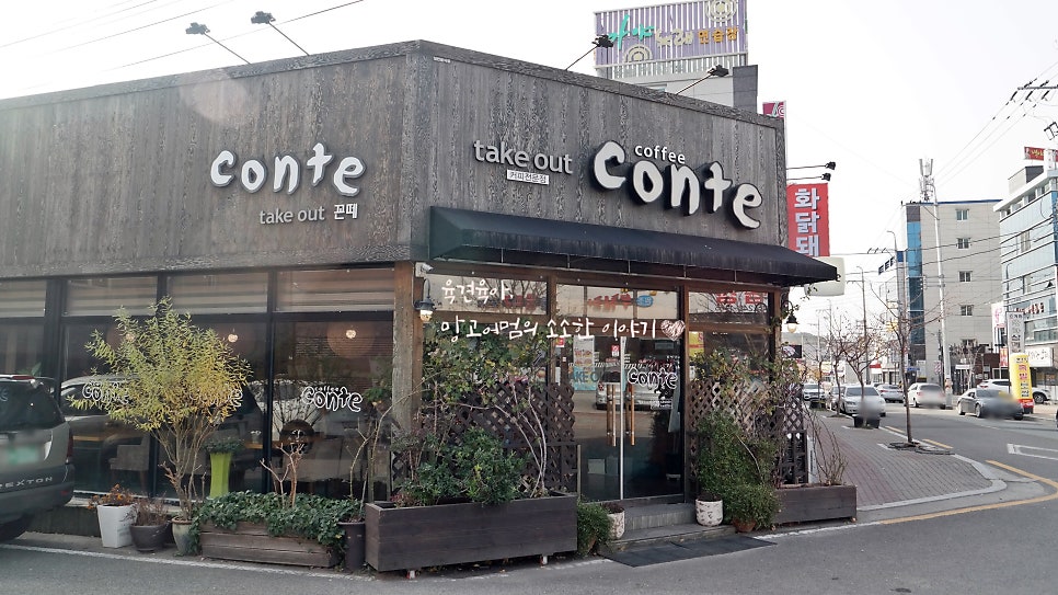 꼰떼 사진 1