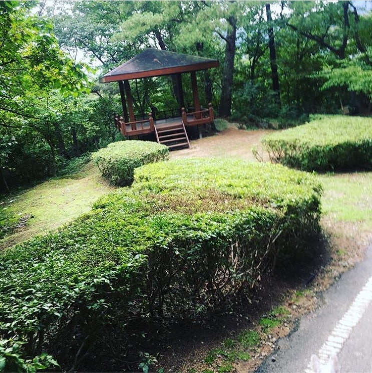  노숙 파티의 역사(1)