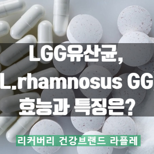  LGG(락토바실러스 람노서스 GG)유산균이란?