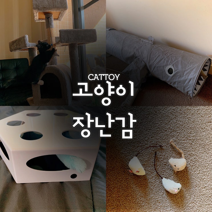  고양이장난감 최강자는 누규