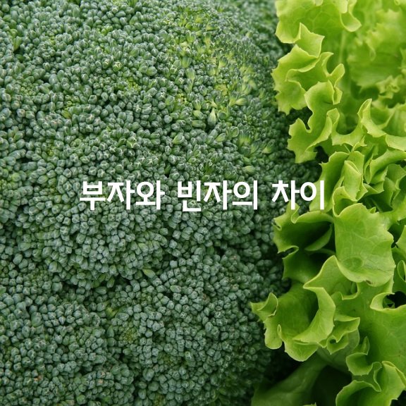  부자와 빈자의 차이5가지
