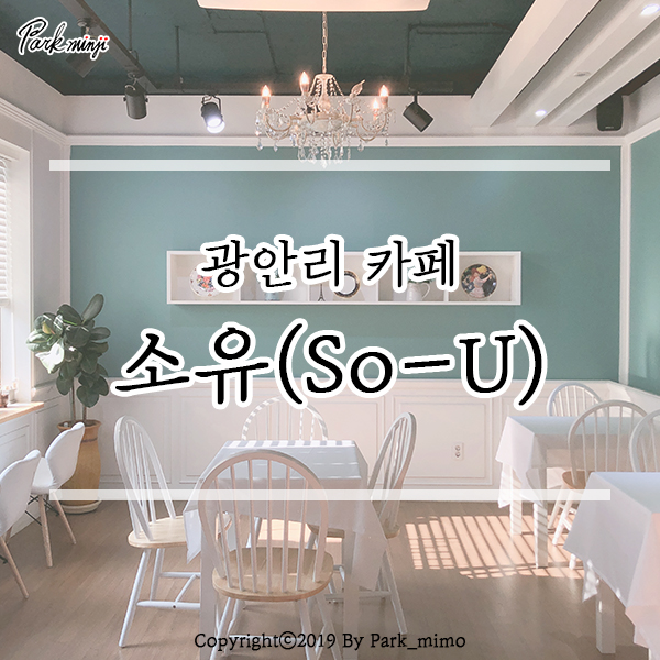  광안리카페/민락동카페, 애견동반 가능한 소유❤️