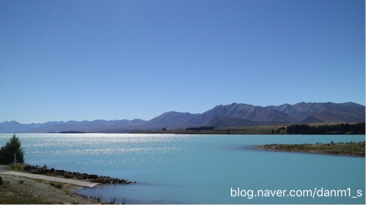 [뉴질랜드 남섬 자유여행] 제럴딘과 밀키블루 테카포 호수 구경하기