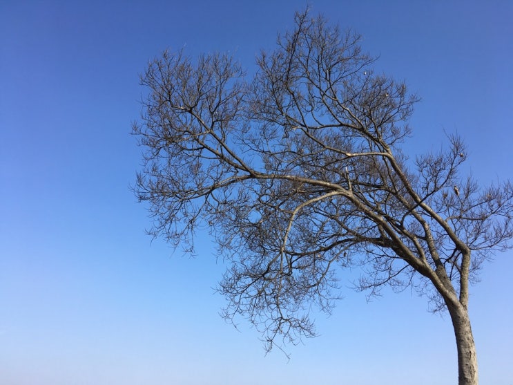  2019꿈해몽2-기해년특집꿈해몽시리즈