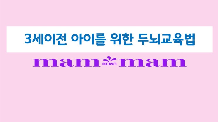  3세이전 아이를 위한 두뇌교육법