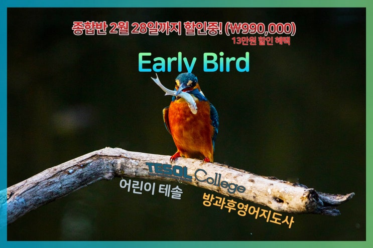  [부산테솔/영어강사자격증] 어차피 들을 테솔 빨리 듣고 더 싸게 들으면 안돼?