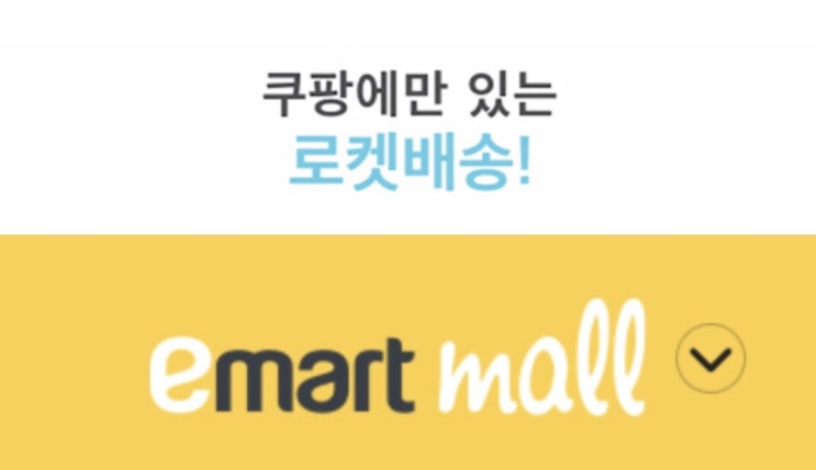  쿠팡/구매후기/로켓 배송/로켓 와우/이마트 쓱 배송/장 보기