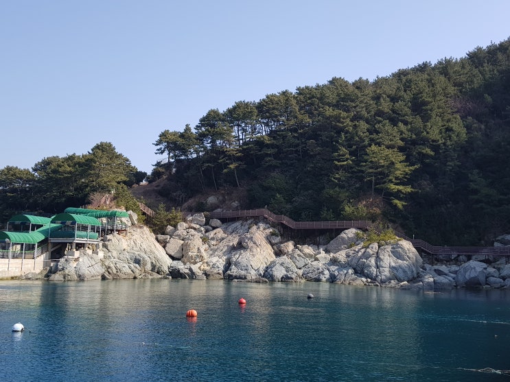  거제도낚시펜션 당일 단골손님들과 함께하는 즐거운 생활낚시!