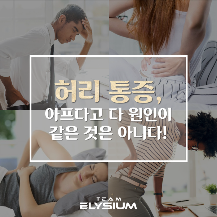  [근골격계 질환] 허리 통증, 아프다고 다 원인이 같은 것은 아니다!