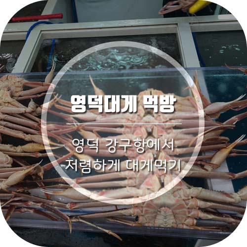  강구항에서 영덕대게 저렴하게먹기/영덕대게가격 (feat.영덕해맞이공원)