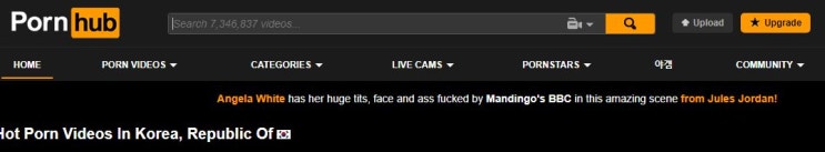  이태리장인의 다이어리 : pornhub가 막혀있다!