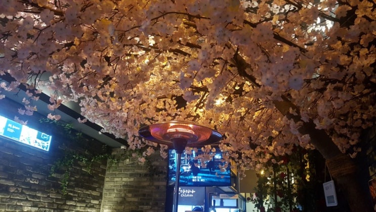  이국적인 곳