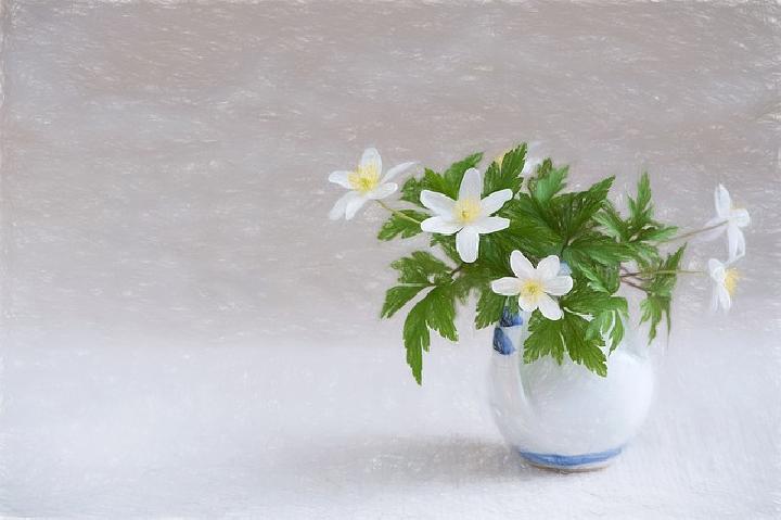  사회활동(社會活動)과 참여(參與)와 사회적(社會的) 웰빙(Well-being) 