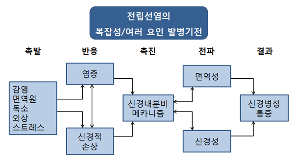 전립선염 바로알기