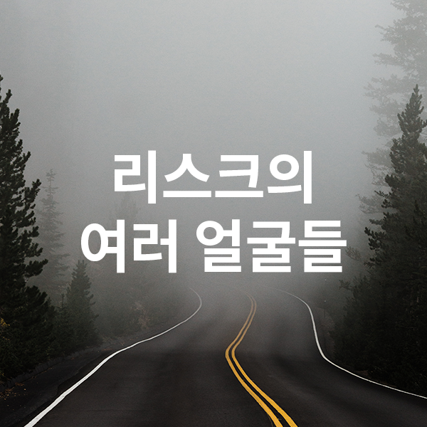  리스크의 여러 얼굴들