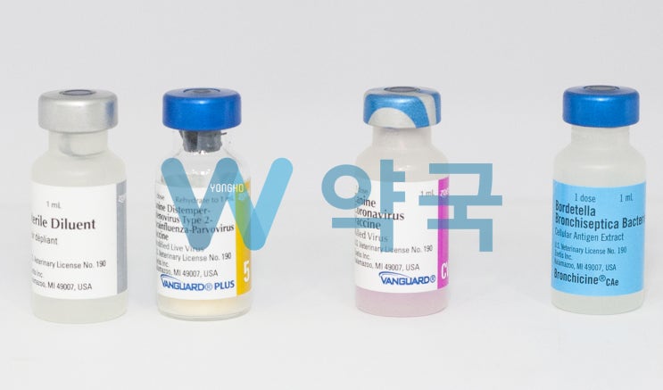  강아지 자가접종 1편/강아지 종합백신 판매약국/강아지 가정접종/부산 최대 동물약국 W약국