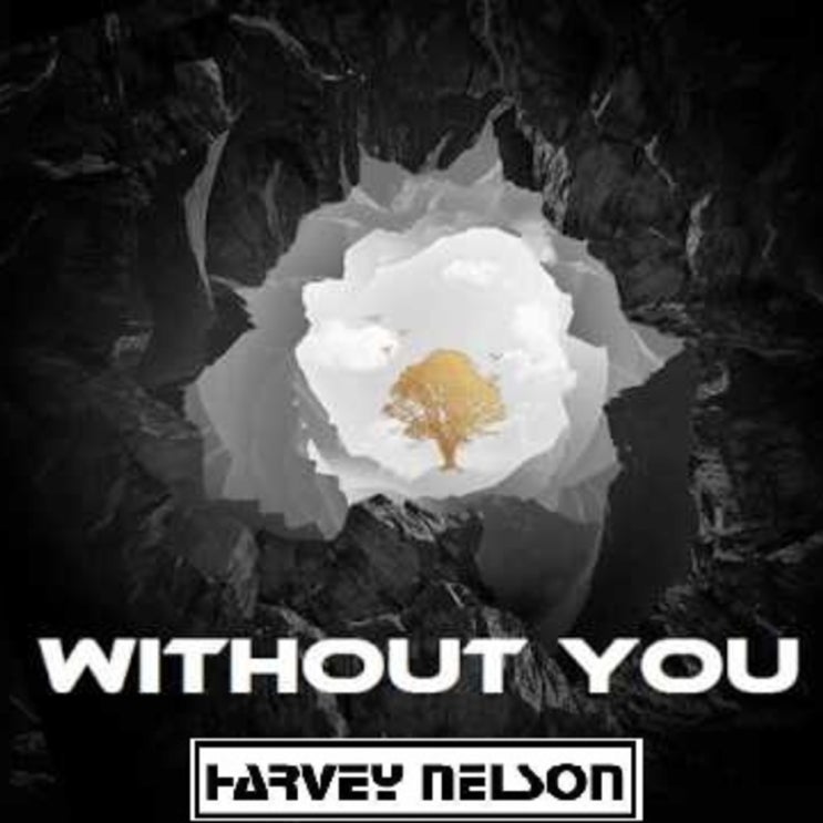  Avicii - Without You 가사/해석/뮤비