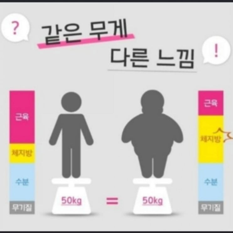  체지방을 잡아라!!