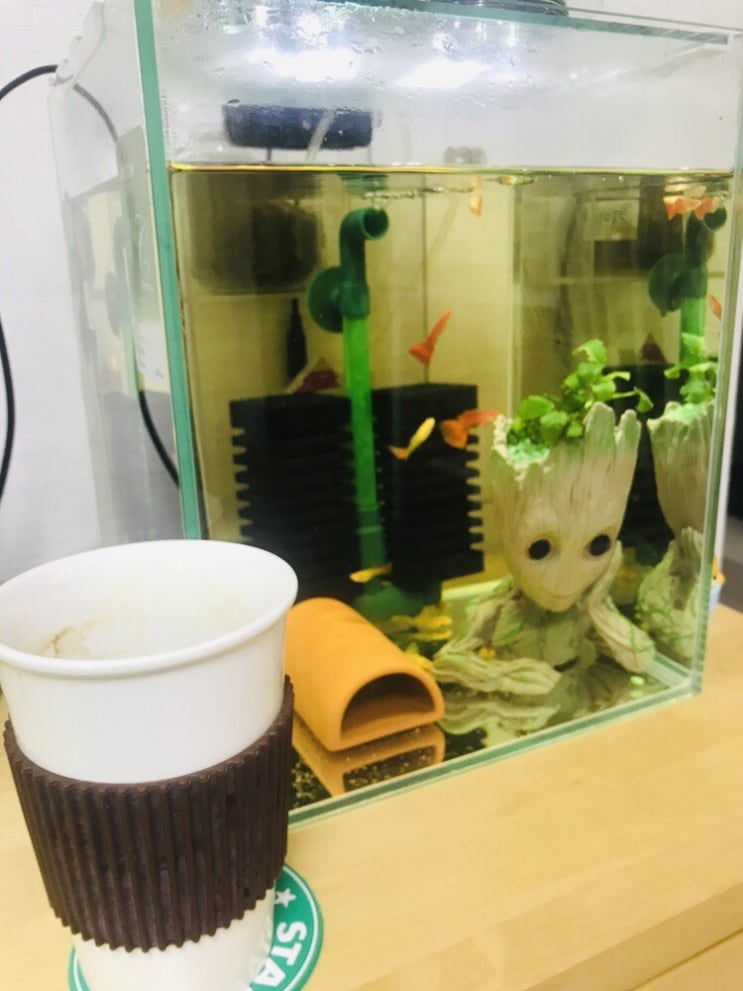  물멍은 쓴커피