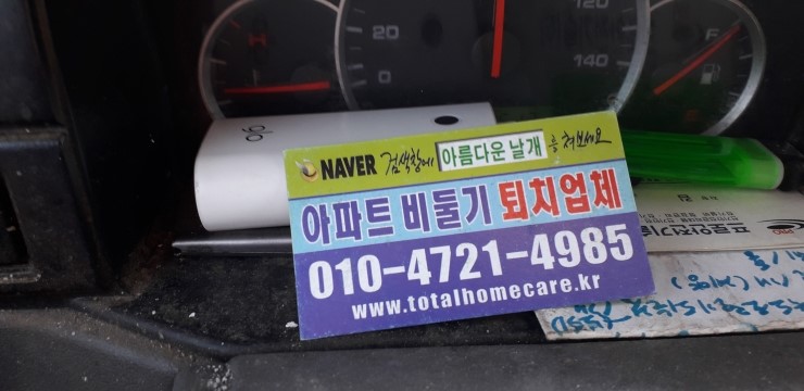  비둘기퇴치