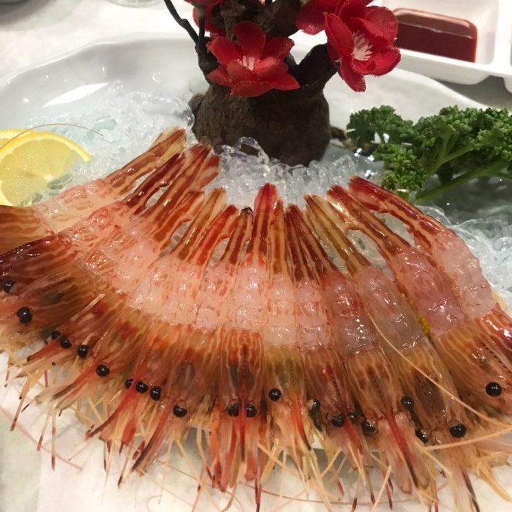  190204-190210 (feat. 서면 청도양곱창, 서면 담스펍, 기장 아난티, 김해 꽃새우 독도횟집, 해광감나무가든, 서면 난바이찌방)