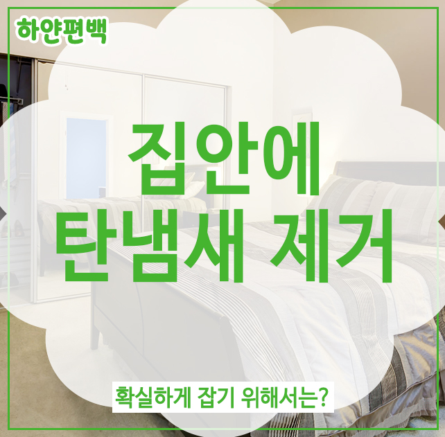  집안에탄냄새제거, 확실하게 잡기 위해서는?