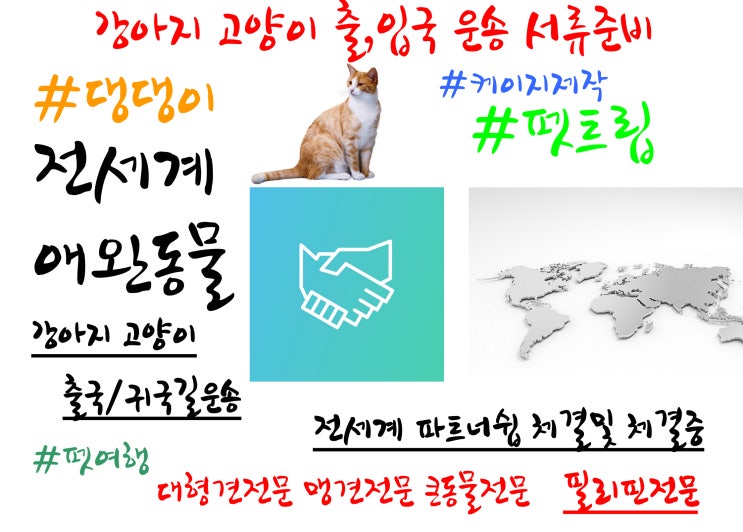  고양이검역 강아지검역 언제나 어디서나 출국하기 입국하기 전문