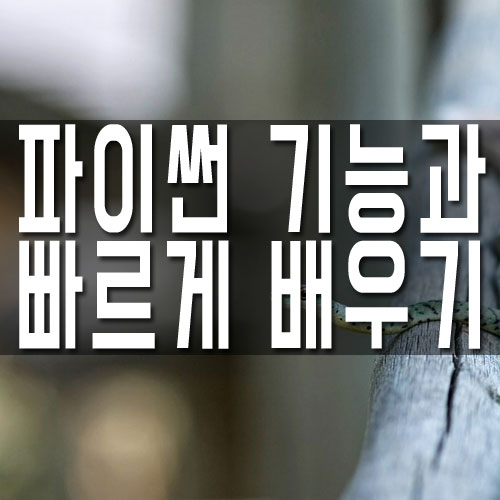  파이썬 웹구축부터 머신러닝까지 다재다능한 코딩언어!