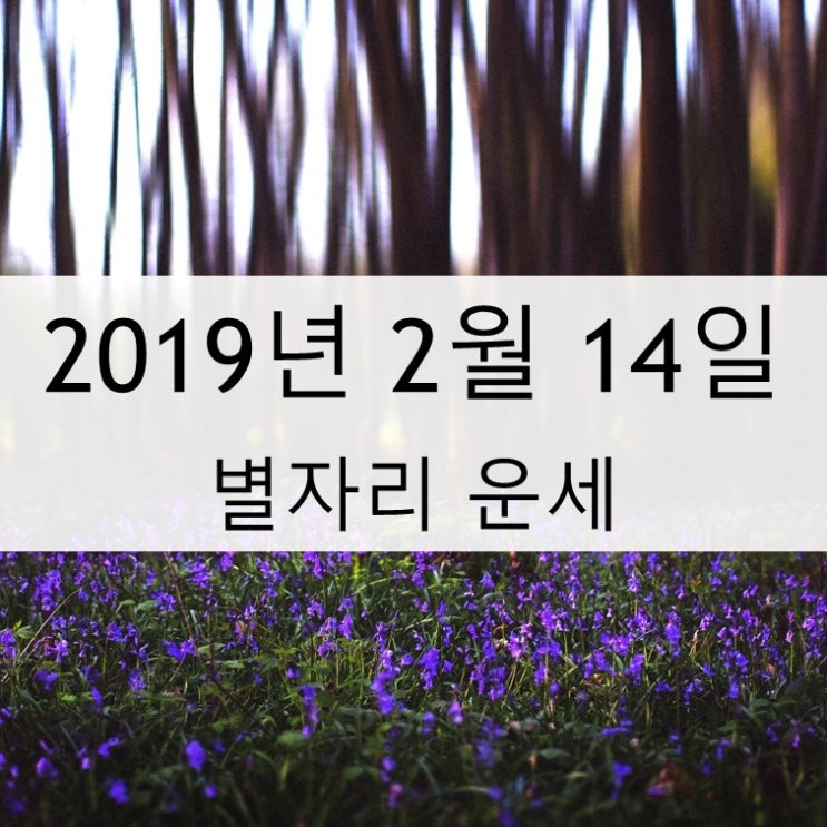 별자리 운세 2월 14일 - 연애 운