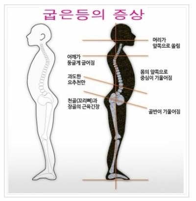 부천재활PT 맞춤형 운동으로 통증을 완화하고 효과를 높이는 방법을 총정리!