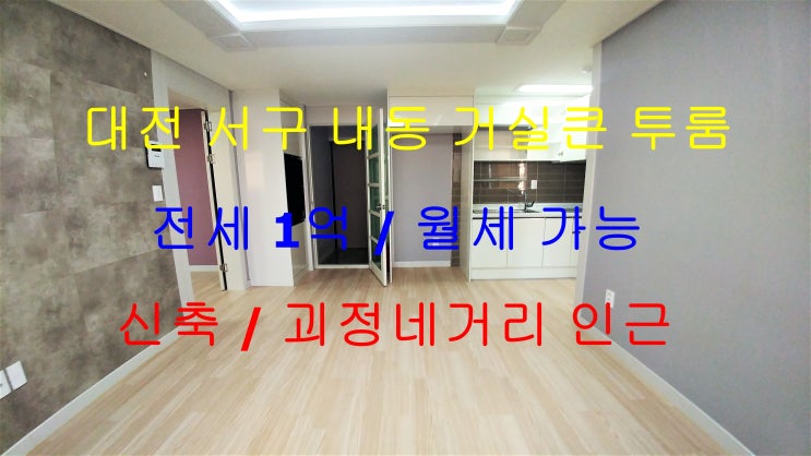  대전서구내동신축거실큰투룸전세(괴정네거리인근)