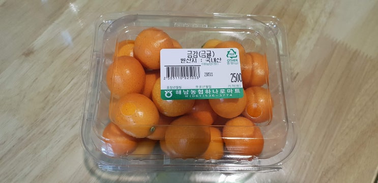  금귤 씨발아 도전
