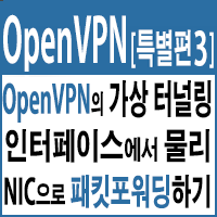 OpenVPN 가상 터널링 인터페이스에서 물리 NIC으로 패킷포워딩(Packet Forwarding)하기