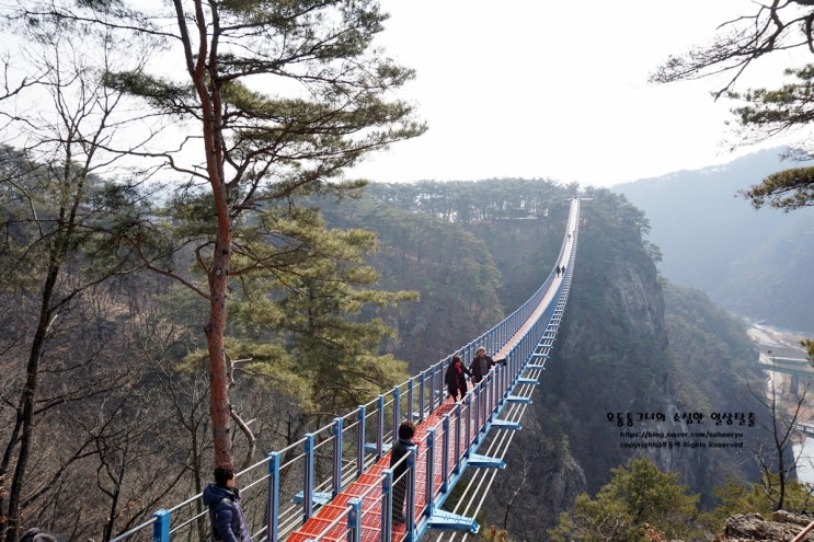  원주 가볼만한곳 소금산 출렁다리 가보다.