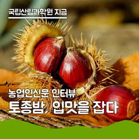  [인터뷰] 농업인신문-이욱 연구관 "토종밤으로 도시민 입맛을 잡을 수 있습니다"