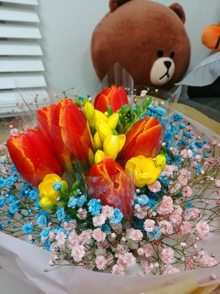  우리집 영예의 대상