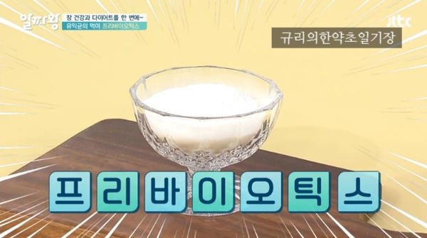  장건강 비만세균 다이어트 프리바이오틱스 효능 정리합니다