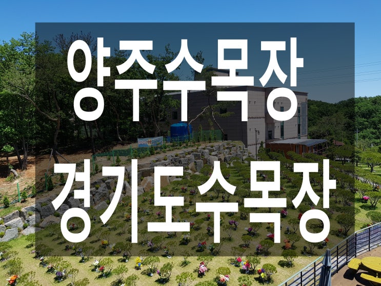  양주수목장 전망좋은 수목장 이내요~