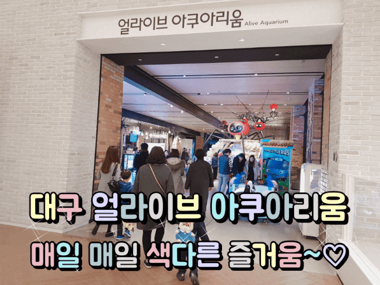 대구 신세계백화점 얼라이브 아쿠아리움 다녀왔어요. 대구 신세계백화점 얼라이브 아쿠아리움 다녀왔어요.
