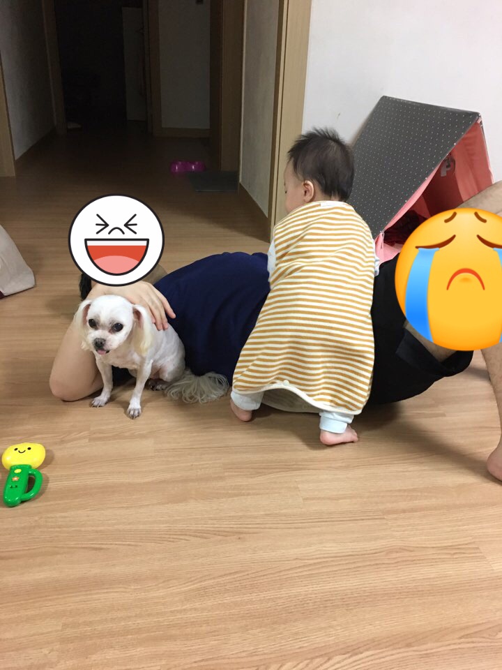  나무아빠의 육아일기(27)