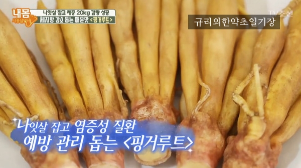  핑거루트 다이어트 공유합니다~