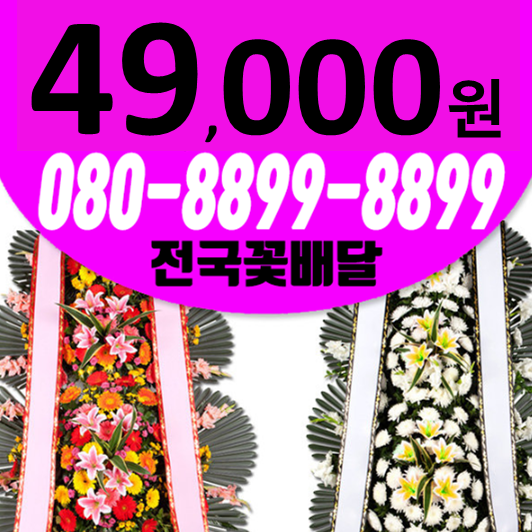  대구K마디병원장례식장 꽃배달부고근조화환 노원동근처 꽃집축하화환24시간접수무료배송
