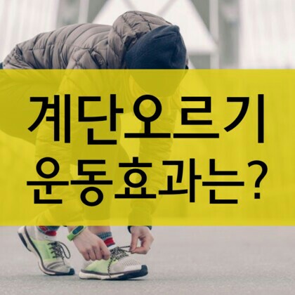  제2의 간 허벅지, 계단 오르기 운동의 효과