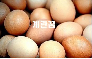  계란꿈 계란보는꿈 깨진꿈 해몽 