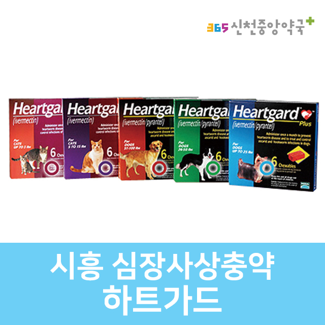 FDA 인정, 판매1위 강아지 심장사상충약 하트가드 (강아지 고양이 심장사상충약 하트웰파는곳 구입 시흥약국 가격) FDA 인정, 판매1위 강아지 심장사상충약 하트가드 (강아지 고양이 심장사상충약 하트웰파는곳 구입 시흥약국 가격)