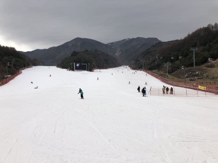  외과 MT) 올해 처음이자 마지막인 무주 스키장
