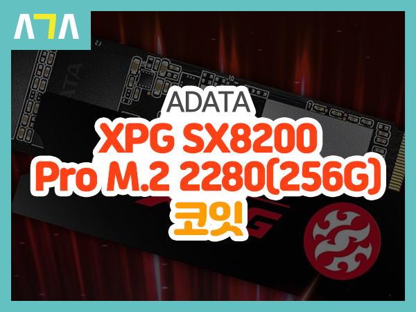 ADATA XPG SX8200 Pro M.2 2280 코잇 (256GB)