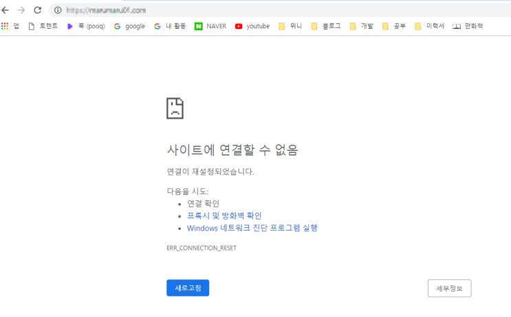 중국처럼 인터넷 사이트가 제한된다면 어떻게 해결할까?