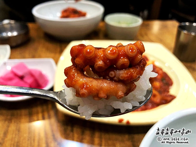 전지적 참견 시점 낙지볶음 이영자 정우성 산낙지철판볶음, 종로 진낙지(맛있는 녀석들, 송해 단골집)